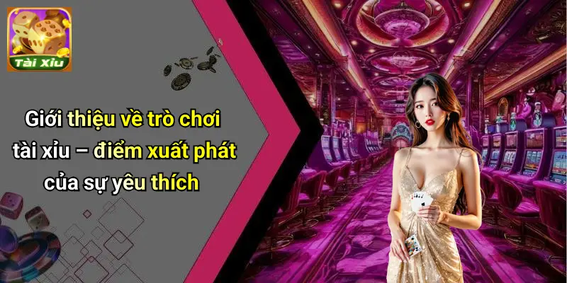 Giới thiệu về trò chơi tài xỉu – điểm xuất phát của sự yêu thích